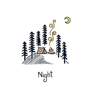 night, camping, forest-5734453.jpg
