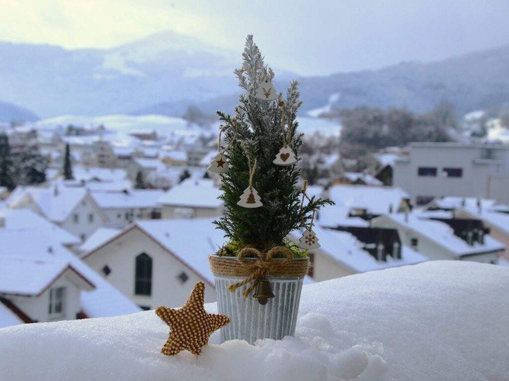 christmas tree, snow, frost-7592660.jpg