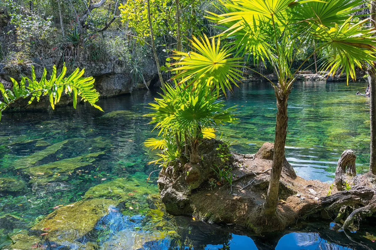 mexico, yucatan, cenote-2145712.jpg