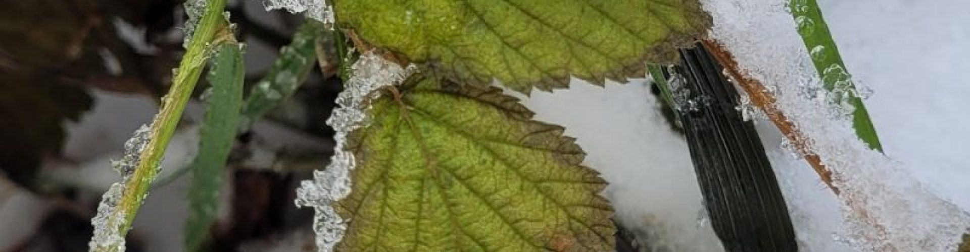 Untitled design (58)